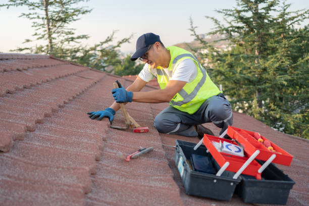 Best Best Roofing Contractors  in St Leo, FL