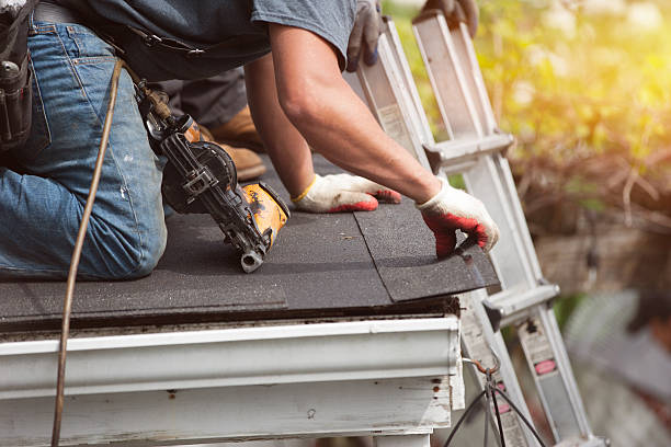 Best New Roof Installation  in St Leo, FL